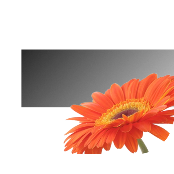 Bloemen bezorgen Delft