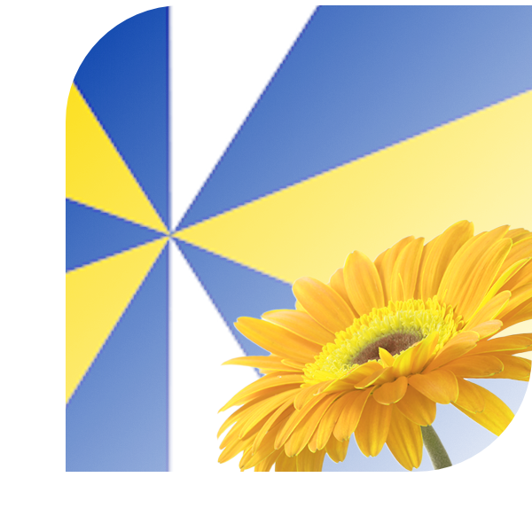 Bloemen bezorgen Avenhorn