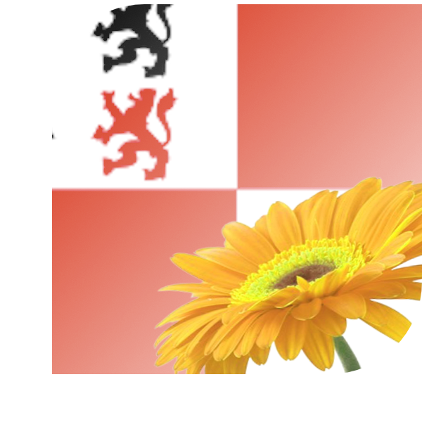Bloemen bezorgen Wormerveer