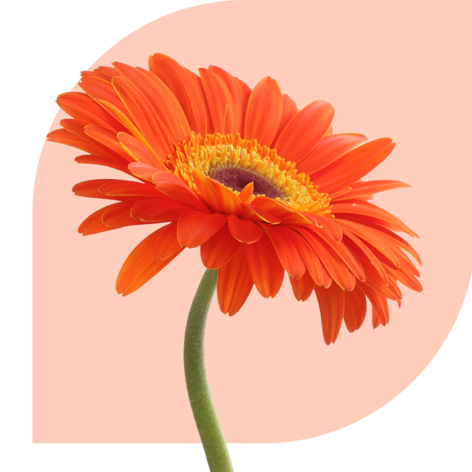 Bloemen bezorgen Wijngaarden