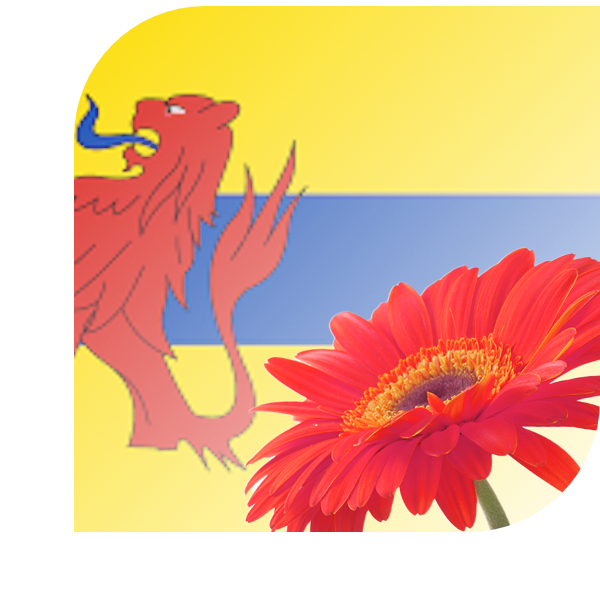 Bloemen bezorgen Vleuten