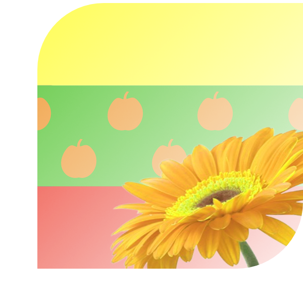 Bloemen bezorgen 's Gravendeel