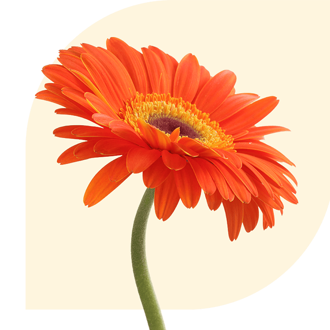 Bloemen Bezorgen Doenrade