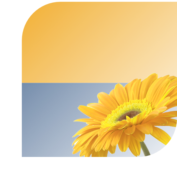Bloemen bezorgen Cromvoirt