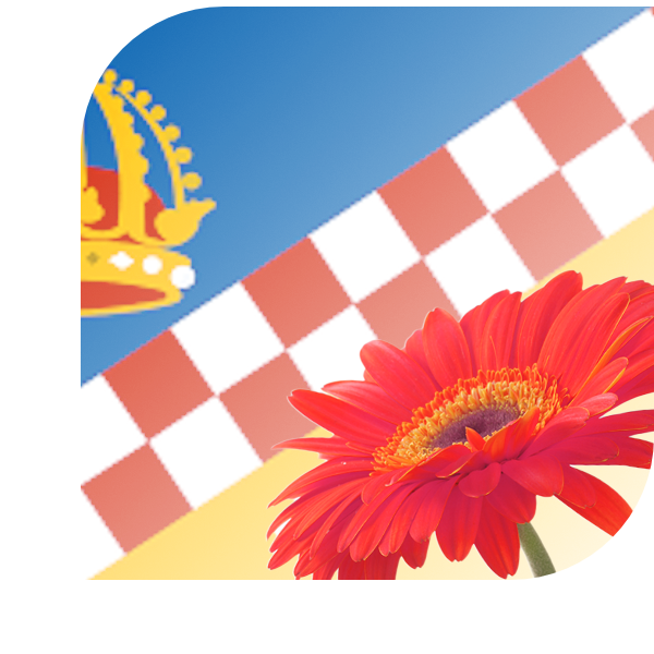 Bloemen Bezorgen Lopik