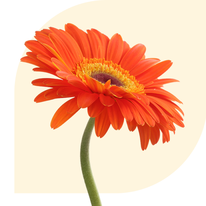 Bloemen bezorgen Maaskantje