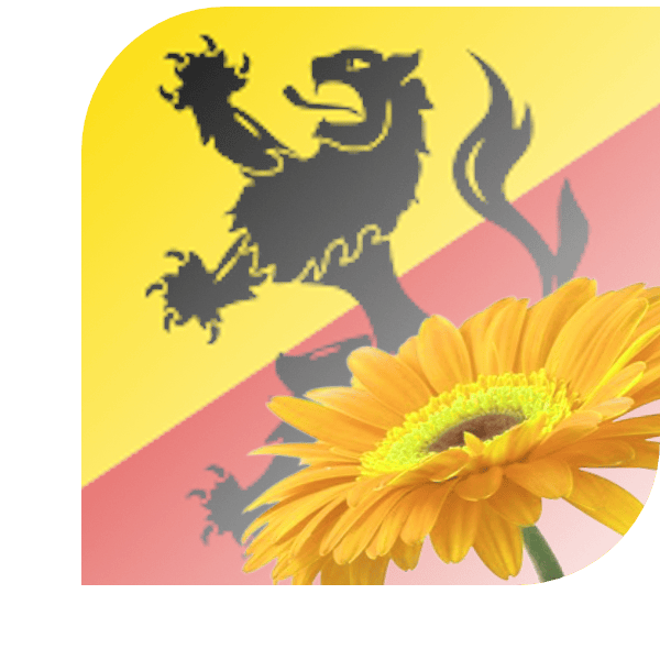 Bloemen bezorgen Tegelen