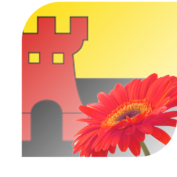 Bloemen Bezorgen Odoorn
