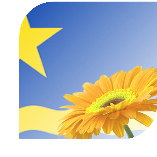 Bloemen Bezorgen Scharnegoutum