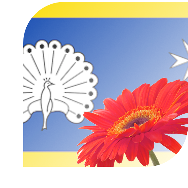 Bloemen bezorgen Ermelo