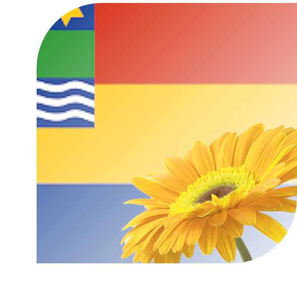Bloemen bezorgen Anna Paulowna