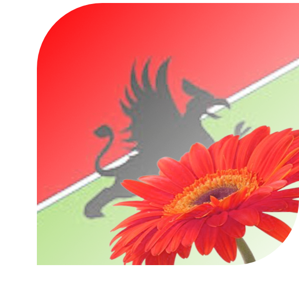 Bloemen bezorgen Grijpskerk
