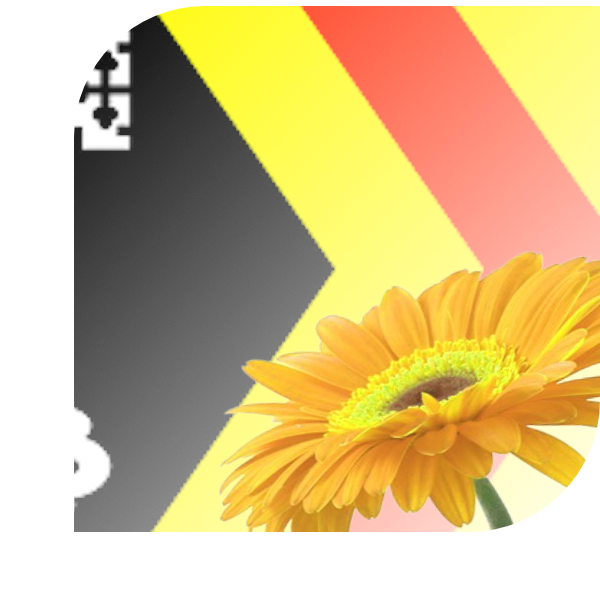 Bloemen bezorgen Bladel