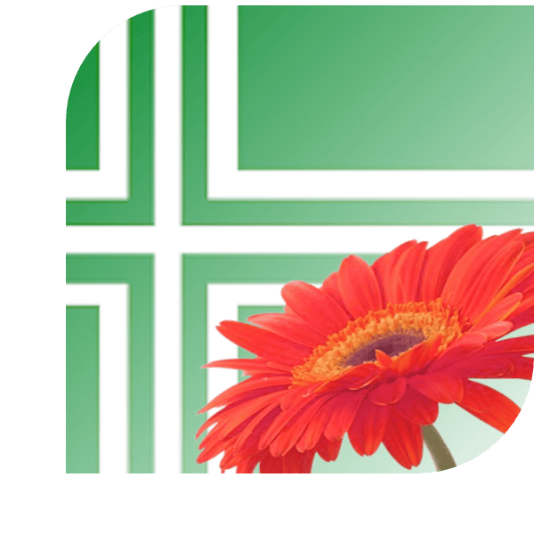 Bloemen bezorgen Haaren