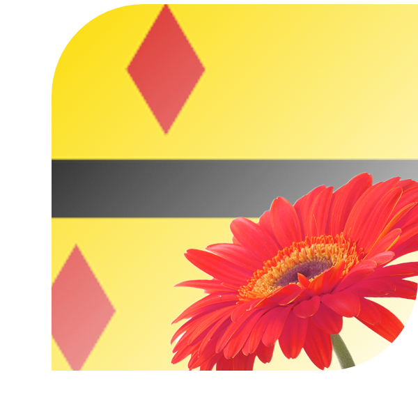 Bloemen bezorgen Harmelen
