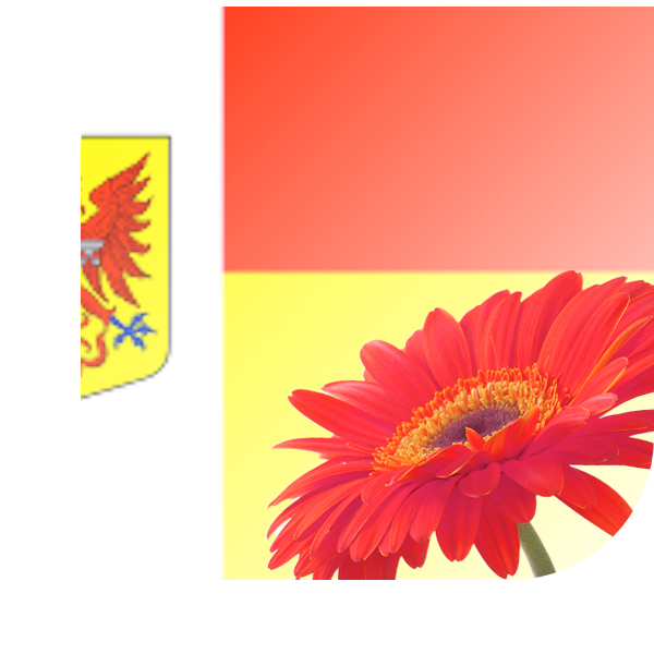 Bloemen bezorgen Apeldoorn