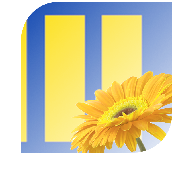 Bloemen bezorgen Budel