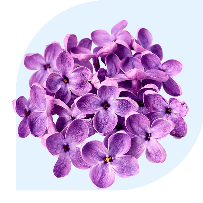 Bloemen bezorgen Giesbeek