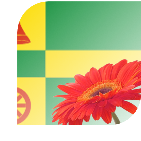 Bloemen bezorgen Achlum