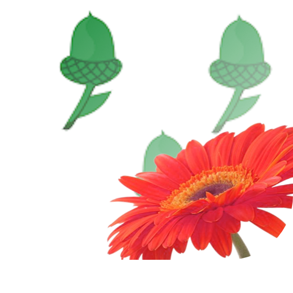 Bloemen bezorgen Akersloot