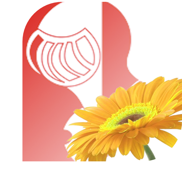 Bloemen Bezorgen Helmond