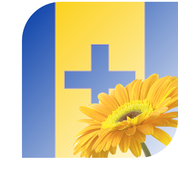 Bloemen bezorgen Baarn