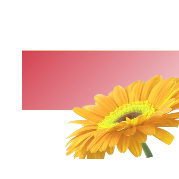 Bloemen bezorgen Brielle