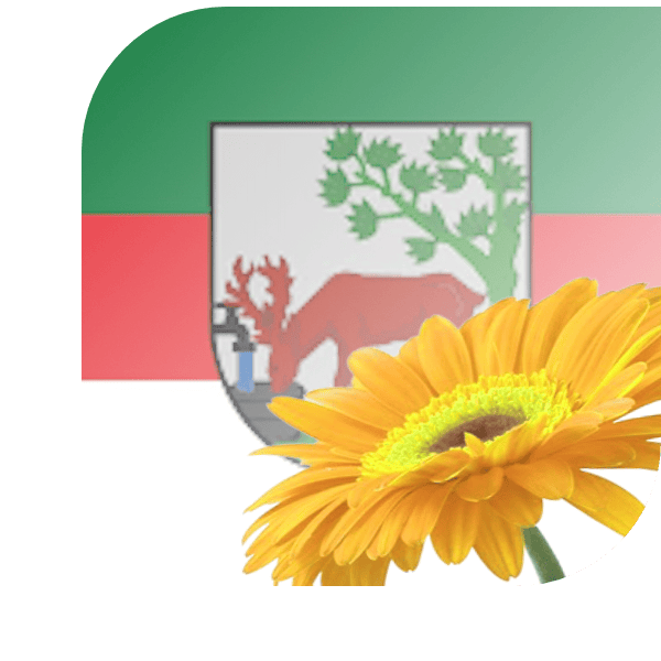 Bloemen bezorgen Stompwijk