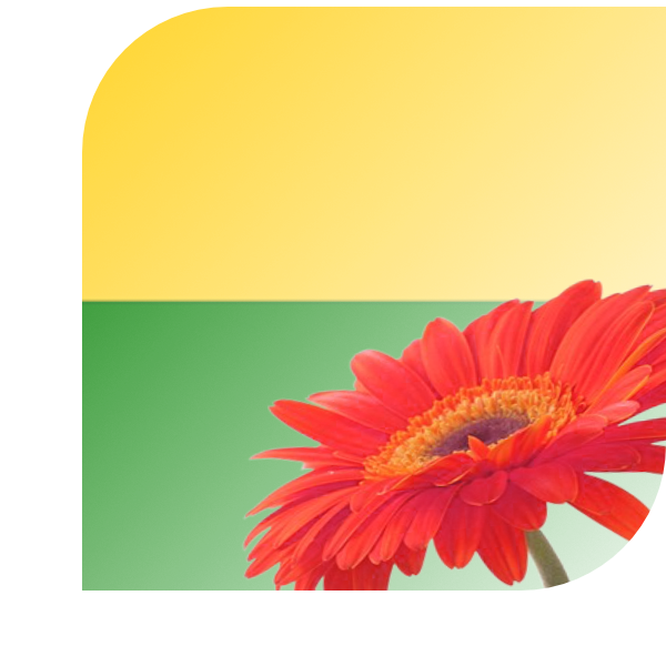 Bloemen Bezorgen Muntendam