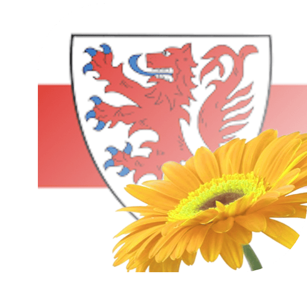 Bloemen Bezorgen Naaldwijk