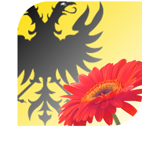 Bloemen bezorgen Naarden