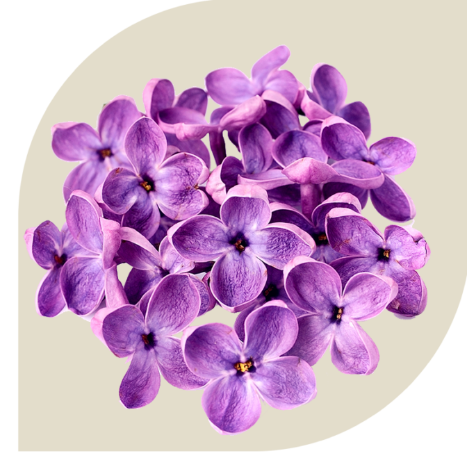 Bloemen Bezorgen Oerle