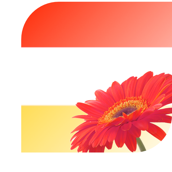 Bloemen bezorgen Geleen