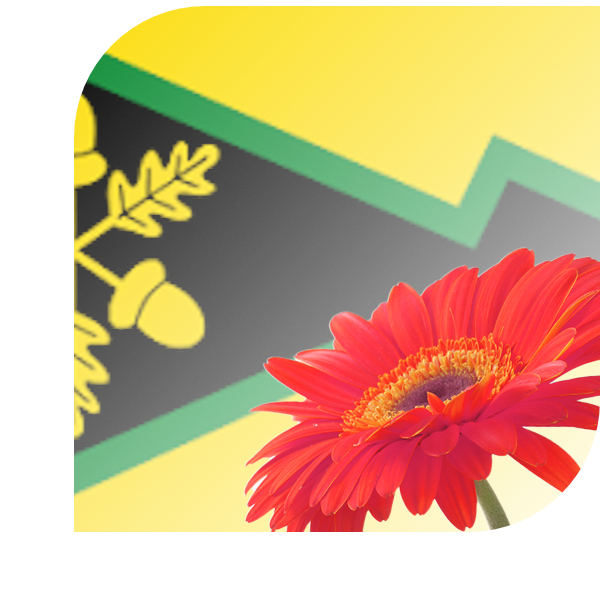 Bloemen bezorgen Gorredijk