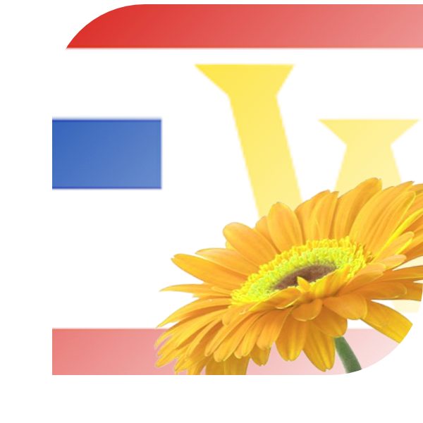 Bloemen bezorgen Wildervank