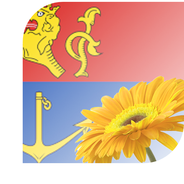 Bloemen bezorgen Venlo