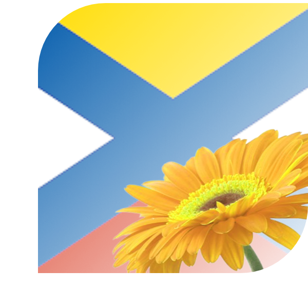 Bloemen Bezorgen Katwijk ZH