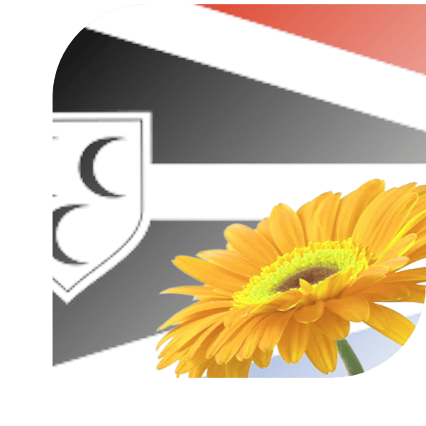 Bloemen Bezorgen Krimpen aan den IJssel