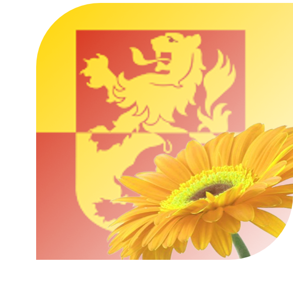 Bloemen bezorgen Alblasserdam