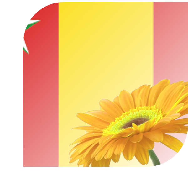 Bloemen bezorgen Elsloo