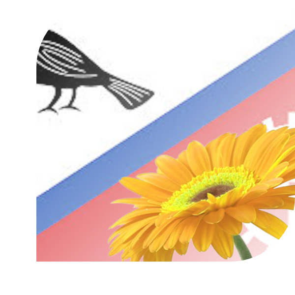 Bloemen bezorgen Hardinxveld-Giessendam