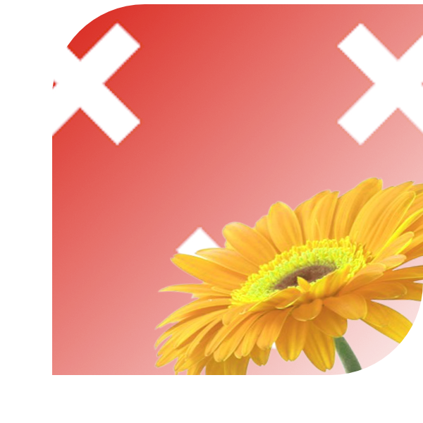 Bloemen bezorgen Breda