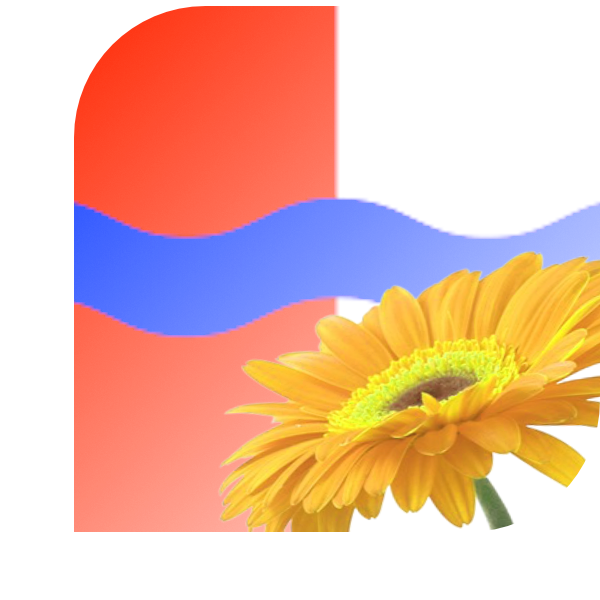 Bloemen bezorgen Vlierden