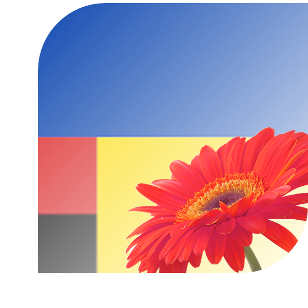 Bloemen Bezorgen Helvoirt