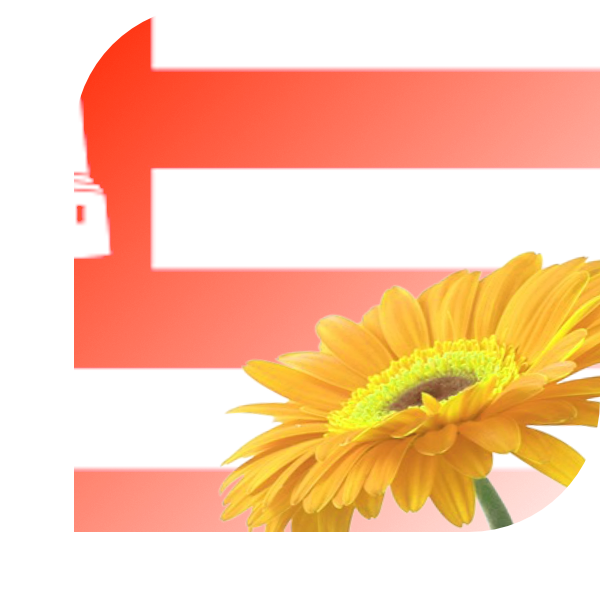 Bloemen bezorgen Alkmaar