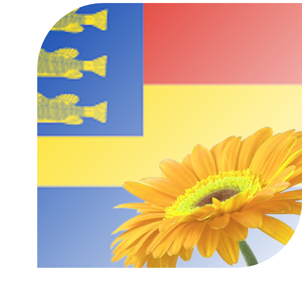 Bloemen Bezorgen Nieuw-Beijerland