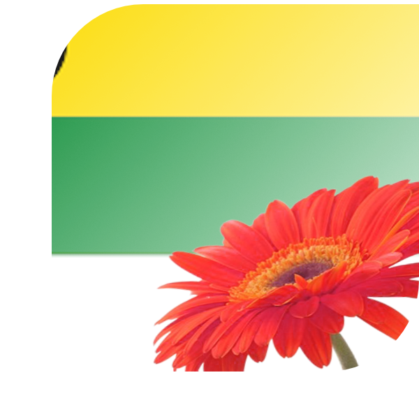 Bloemen Bezorgen Schijndel