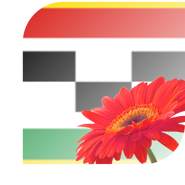Bloemen bezorgen Veenwouden