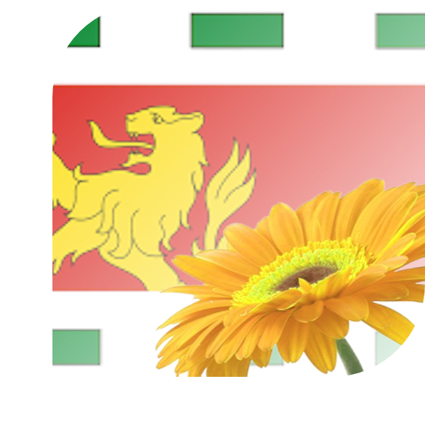 Bloemen bezorgen Barendrecht