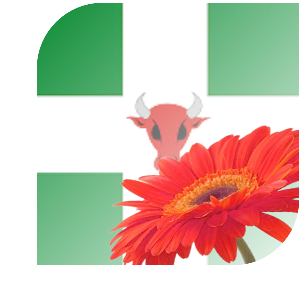 Bloemen Bezorgen Nieuw-Vennep